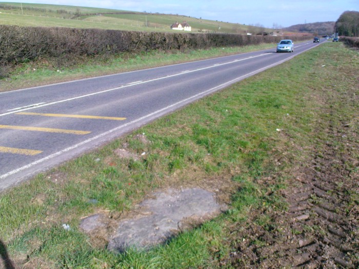 I've passed it so many times I thought I should actually stop and have a look at the remains of Broad Stone Circle (& Sarsen) on the A35.
And I cleaned it up only a tiny bit, which seems to be the done thing. 
The layby is easy to find, shortly after the Nine Stones Circle but the A35 is a deathtrap so drive carefully