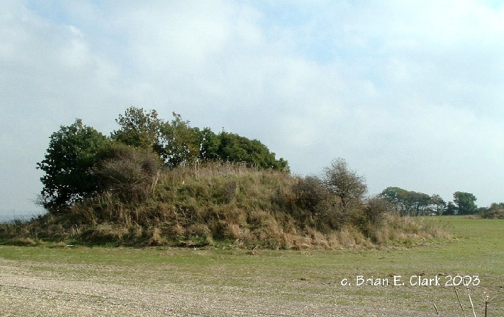 Culliford Tree