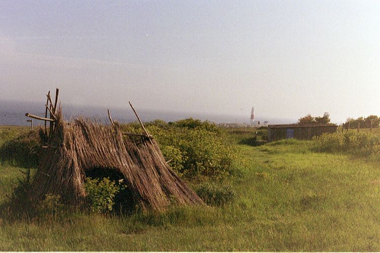Click for the gallery page to add comments and vote (PID:3619) Culverwell Mesolithic Site