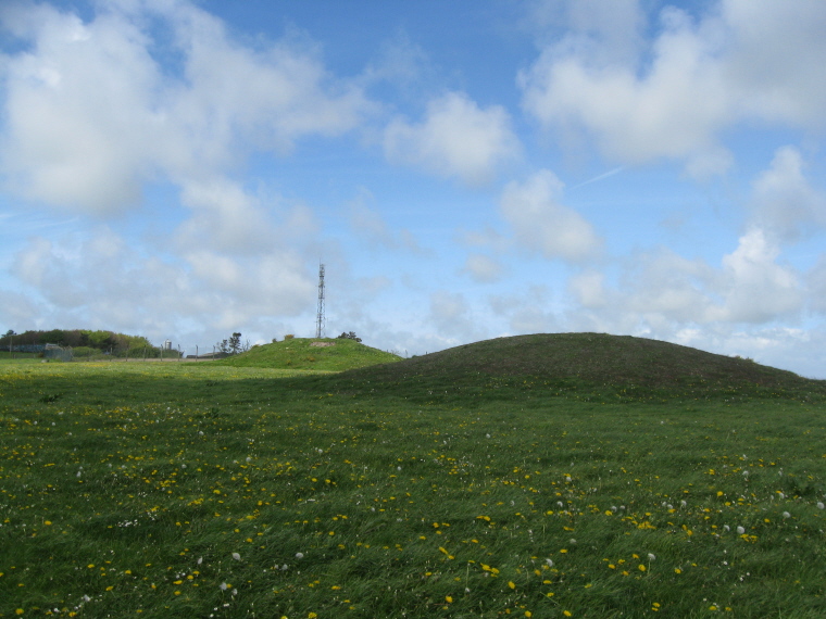 Click for the gallery page to add comments and vote (PID:132522) Bincombe Down