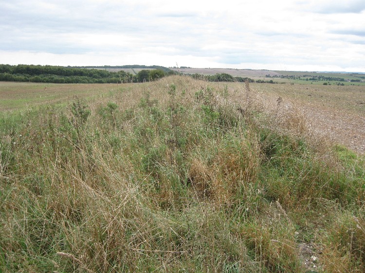 Click for the gallery page to add comments and vote (PID:52357) Dorset Cursus
