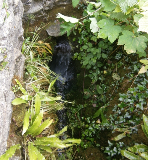 St John's Well (Evershot), Dorset | Megalithic Portal