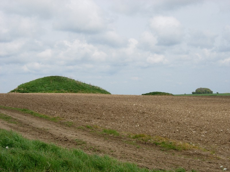 Great Hill (Martinstown)