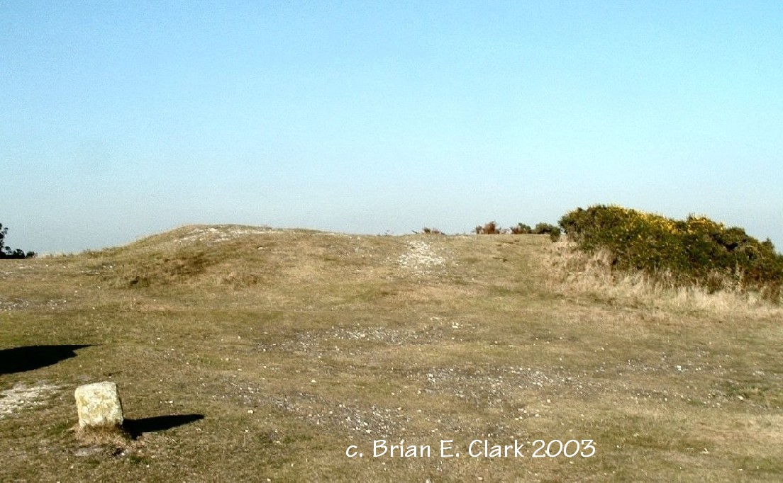 Hardy Monument Barrows