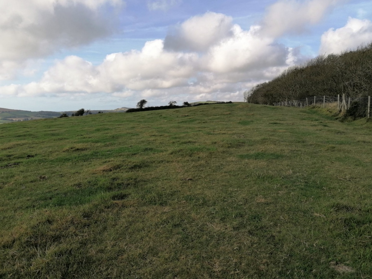 Remains of several small barrows are found on the top ridge of Knowle Hill, a kilometre or so from the Corfe Castle end. 