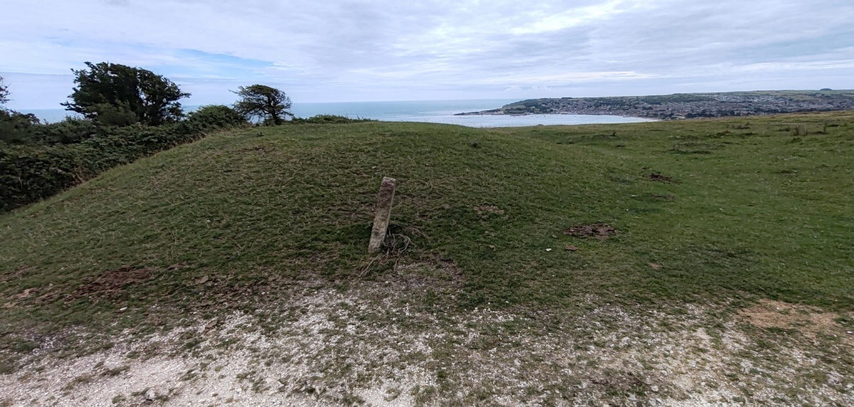 Ballard Down