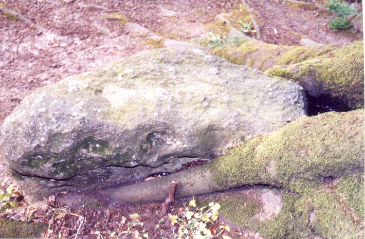 Click for the gallery page to add comments and vote (PID:17121) Nine Stones (Dorset)