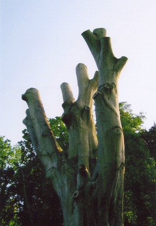 Nine Stones (Dorset)