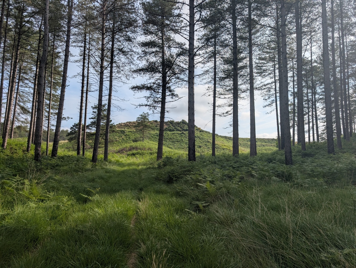 Woolsbarrow