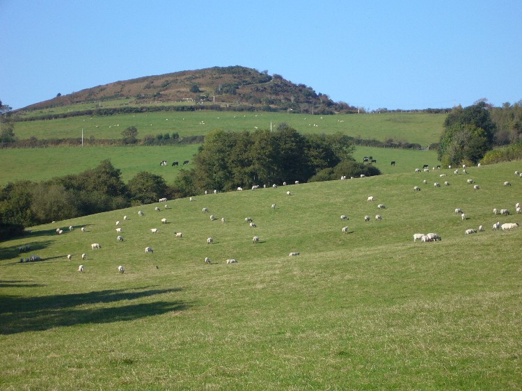Click for the gallery page to add comments and vote (PID:43359) Pilsdon Pen
