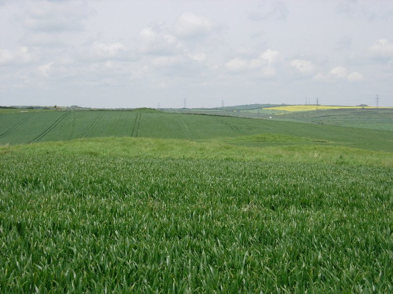 Pitcombe Down