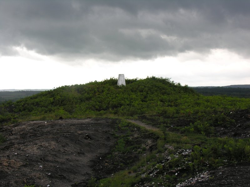 The trig point mounting probably the easiest barrow to see on Blacknoll Hill. From there, though, the Five Marys, and numerous other barrows are visible.