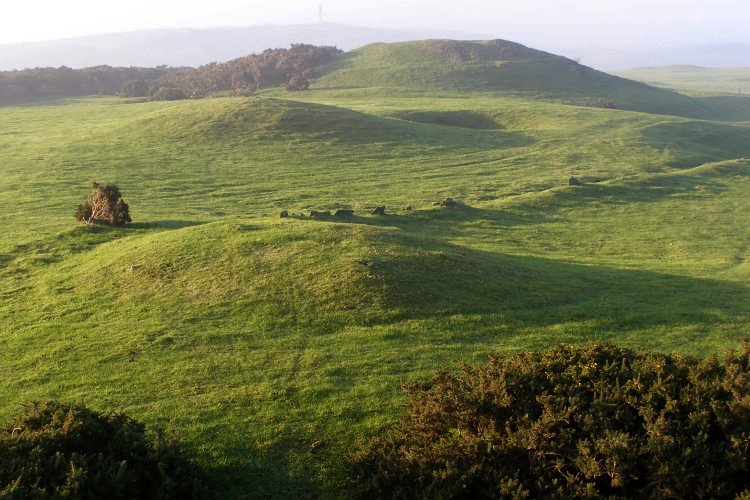 Bronkham Hill