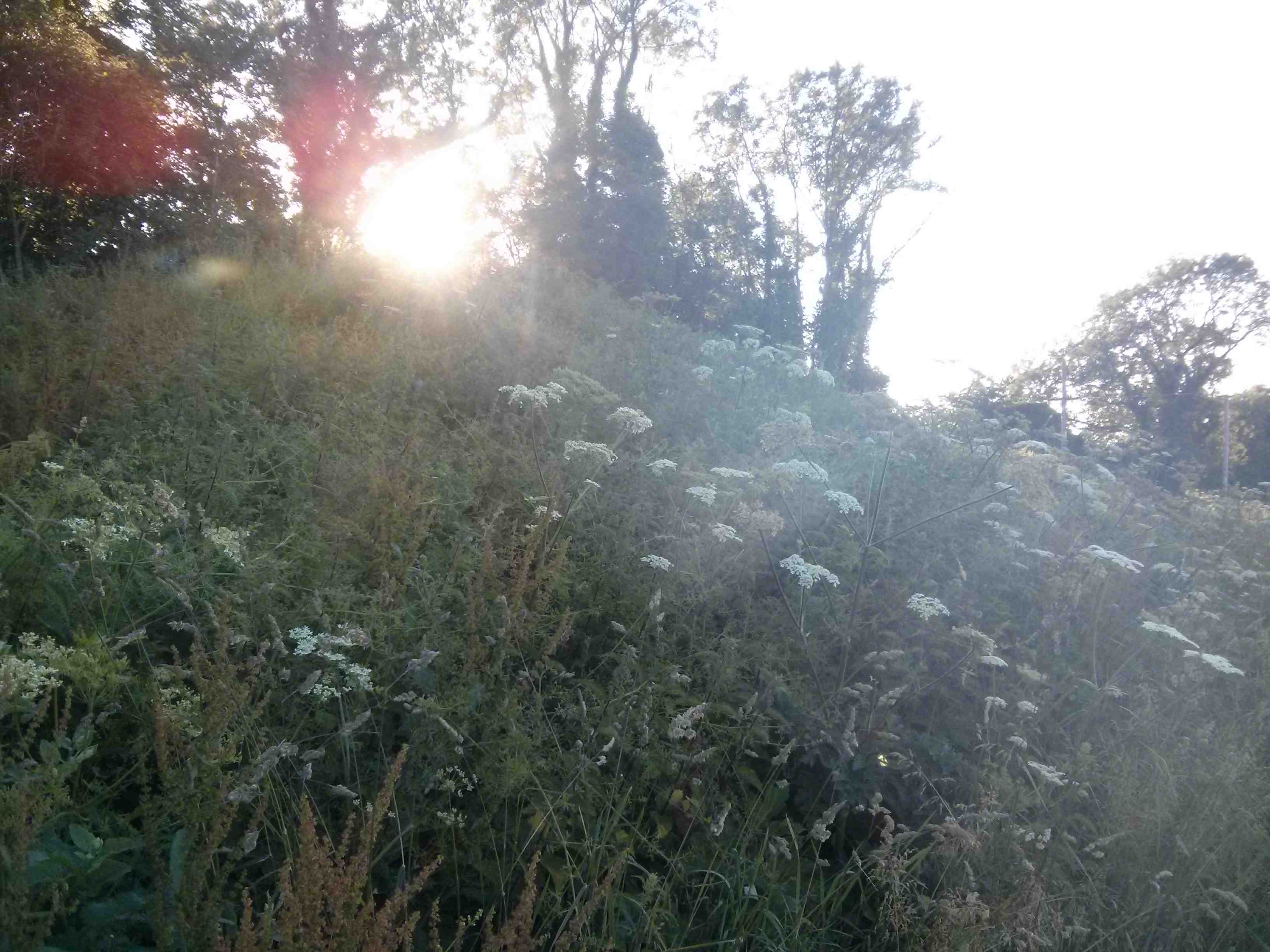 Chettle Long Barrow