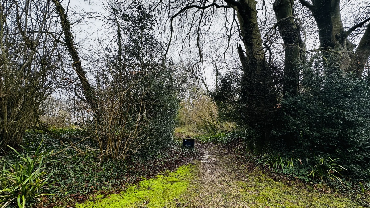 Combs Ditch (Chariston)