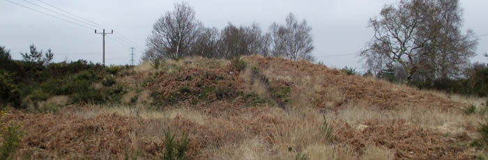 Ferndown Town Common
