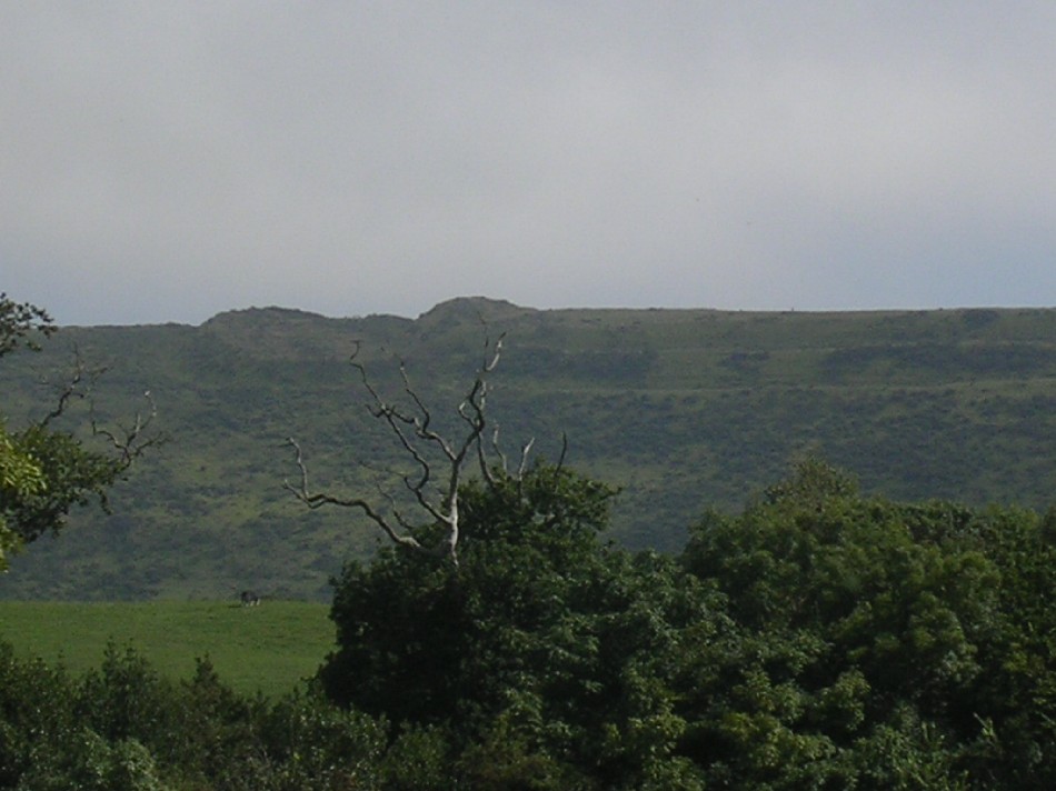 Flower's Barrow
