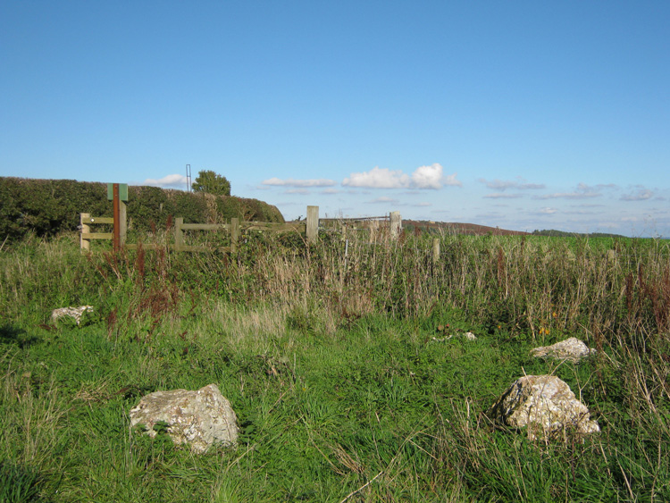 Click for the gallery page to add comments and vote (PID:66986) Hampton Down