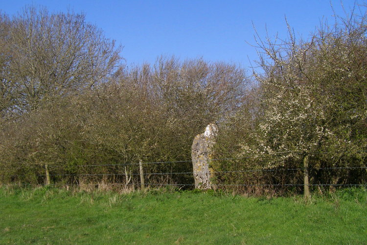 The Harp Stone