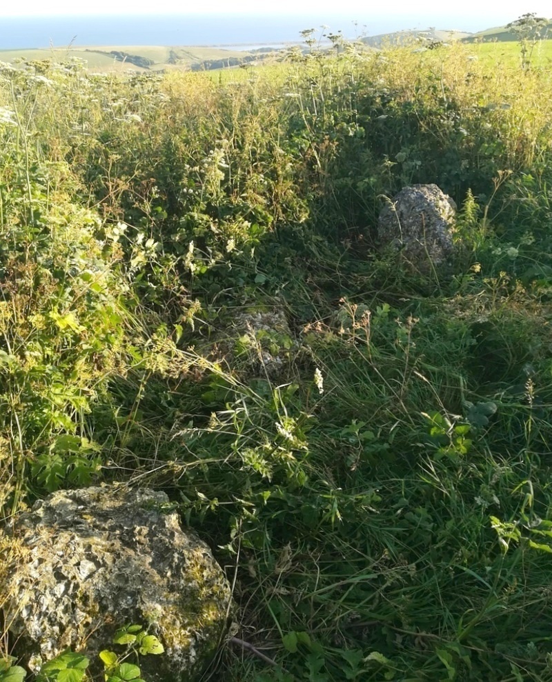Click for full size image of Hampton Down (PID:261321) Hampton Down