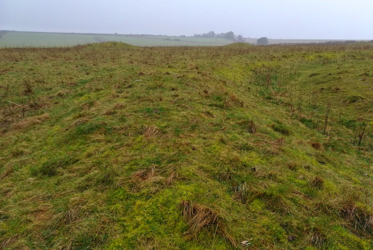 Oakley Down Barrows