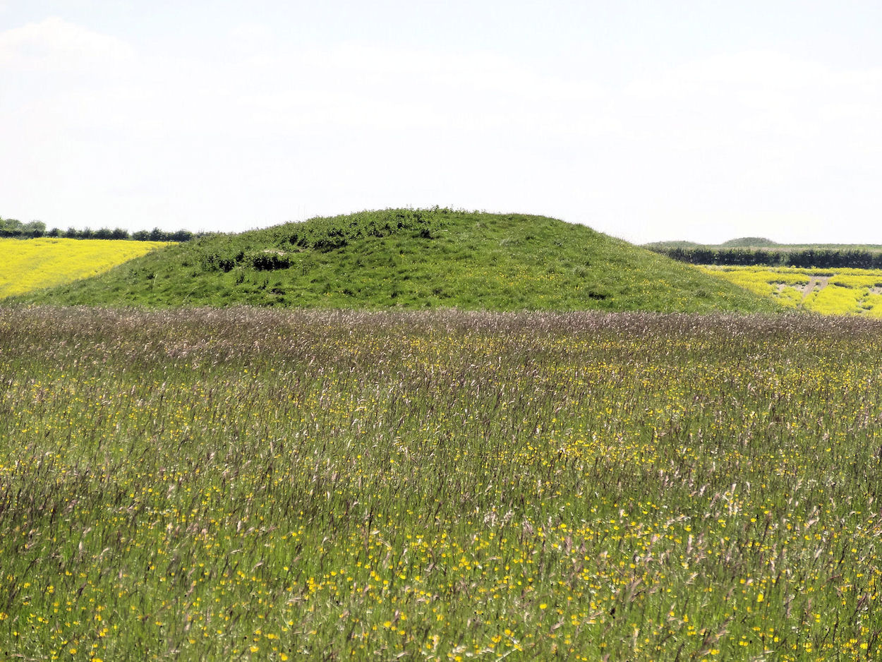 Oakley Down Barrows