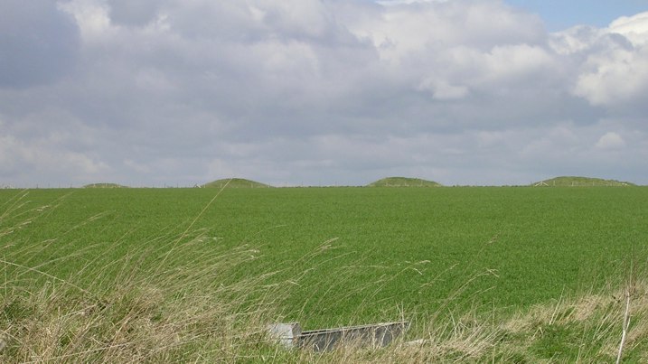 Click for the gallery page to add comments and vote (PID:12999) Oakley Down Barrows