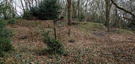Ferndown Town Common