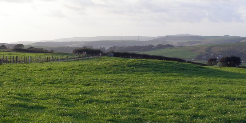 Southdown (Dorset)