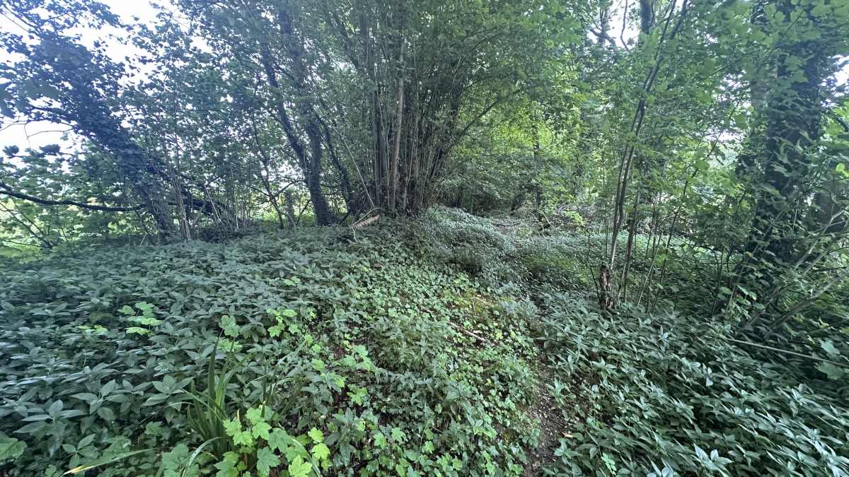 Combs Ditch (Chariston)
