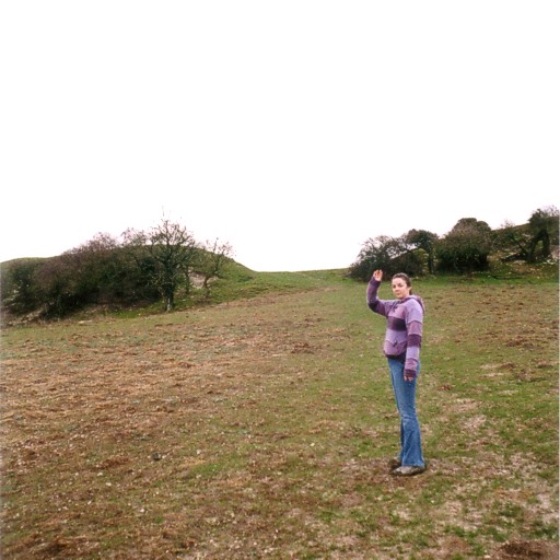 Spettisbury Rings