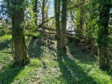 Whitcombe 1 - PID:257035