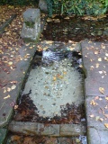 St Augustine's Well (Cerne Abbas)