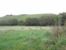 Cerne Abbas Giant