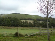 Cerne Abbas Giant