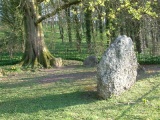 Nine Stones (Dorset) - PID:6579