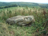 Chilcombe Hill Barrow(s) - PID:8129