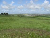 Bincombe Down