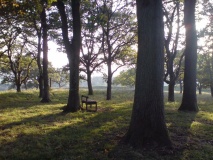 Badbury Rings