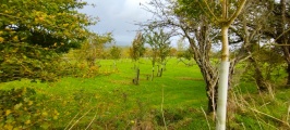 Higher Ground Meadow Modern Burial Mound - PID:250901