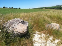 Winterbourne Steepleton