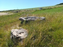 Winterbourne Steepleton
