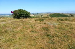 Hardy Monument Barrows