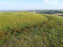 Tenants Hill enclosure