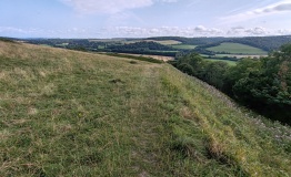 Hod Hill