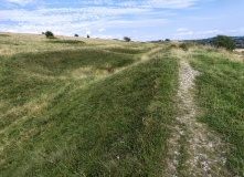 Hod Hill