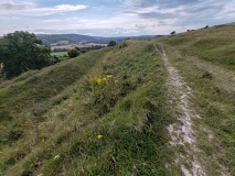 Hod Hill