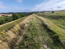 Hod Hill