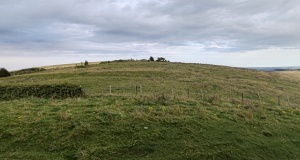 Hambledon Hill enclosure