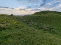 Hambledon Hill hillfort